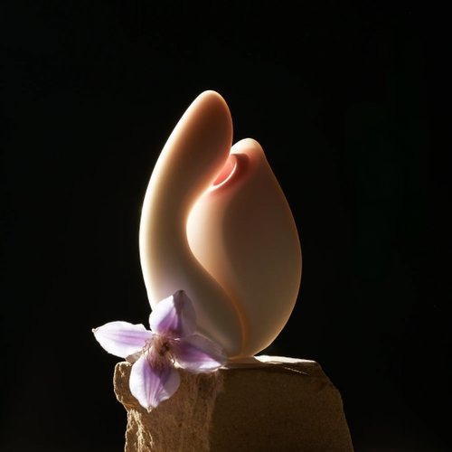 Rose Vibrators: Real User Experiences Unveiled