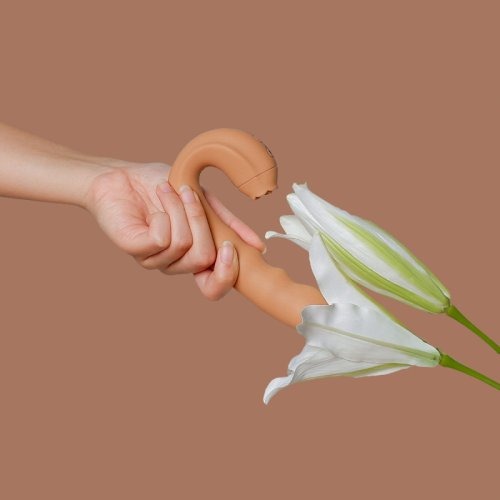 LELO: Luxury Intimate Wellness Leader